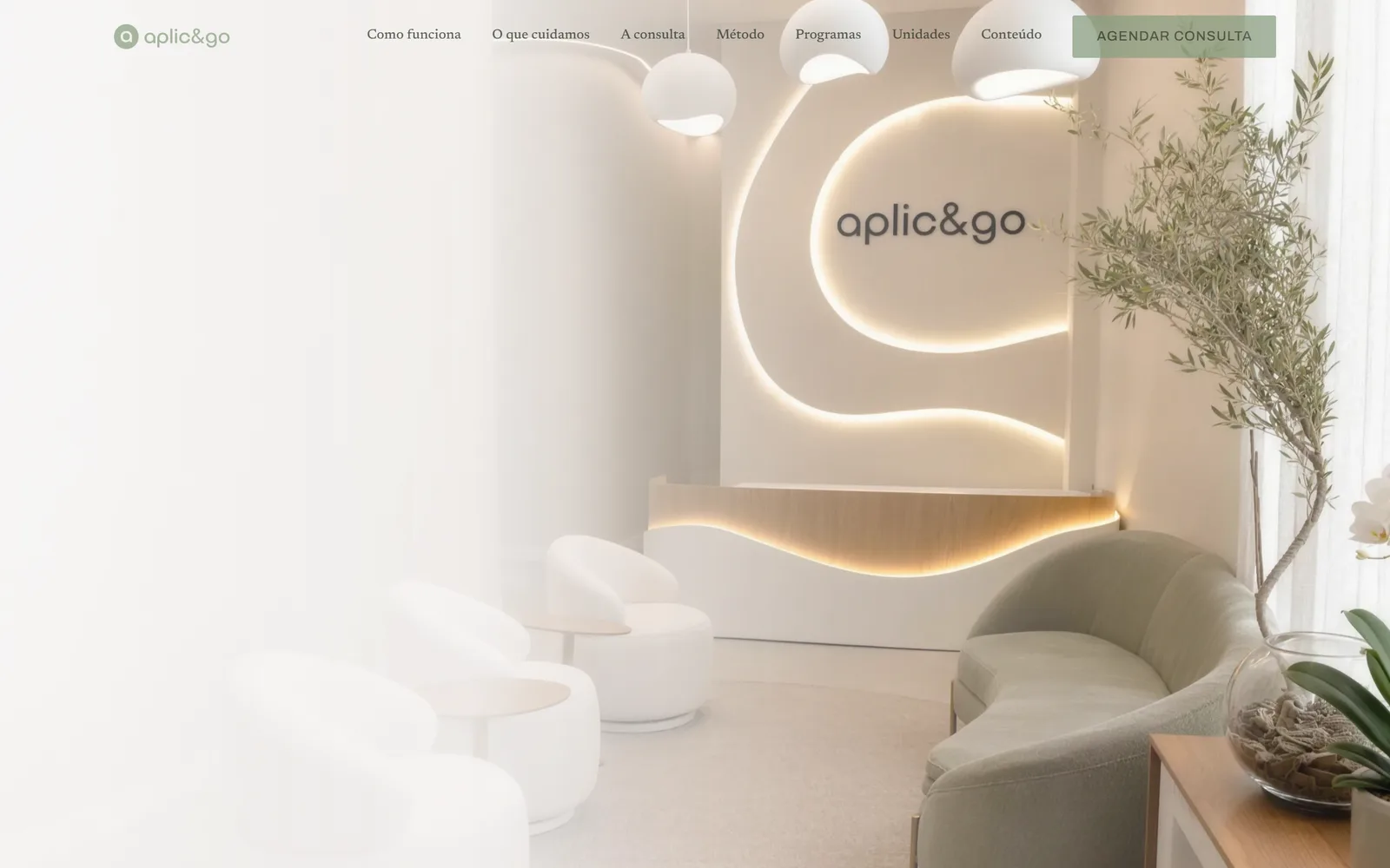 Página inicial do site da Aplic&Go no desktop